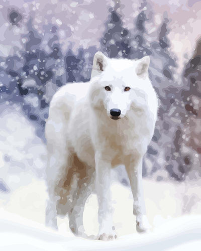 Malen nach Zahlen - Polarwolf