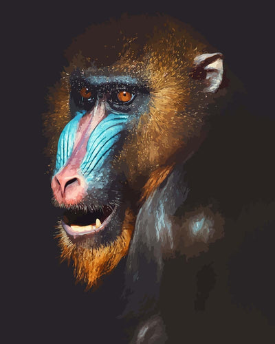 Malen nach Zahlen - Portrait eines Mandrill - Affe