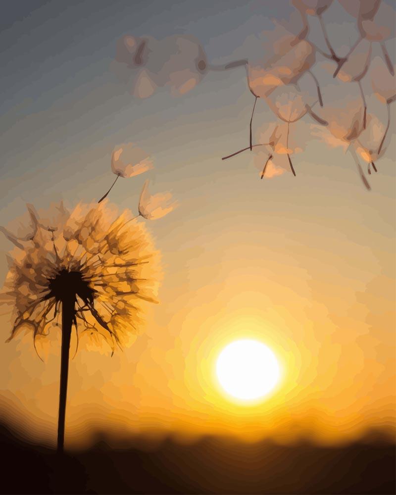 Malen nach Zahlen   Posteblume im Sonnenuntergang