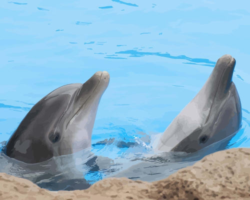Malen nach Zahlen - Schwimmende Delphine