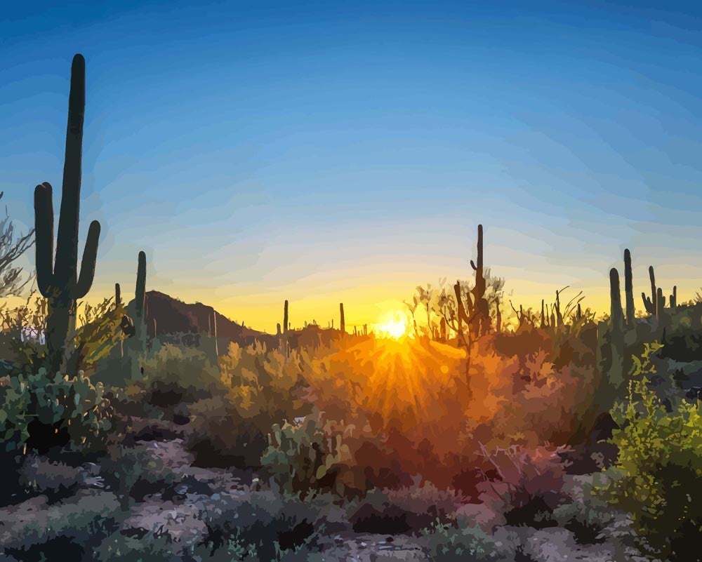 Malen nach Zahlen   Sonnenuntergang im Saguaro Nationalpark in Arizona