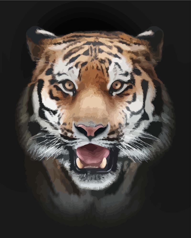 Malen nach Zahlen   Tigergesicht schwarzer Hintergrund