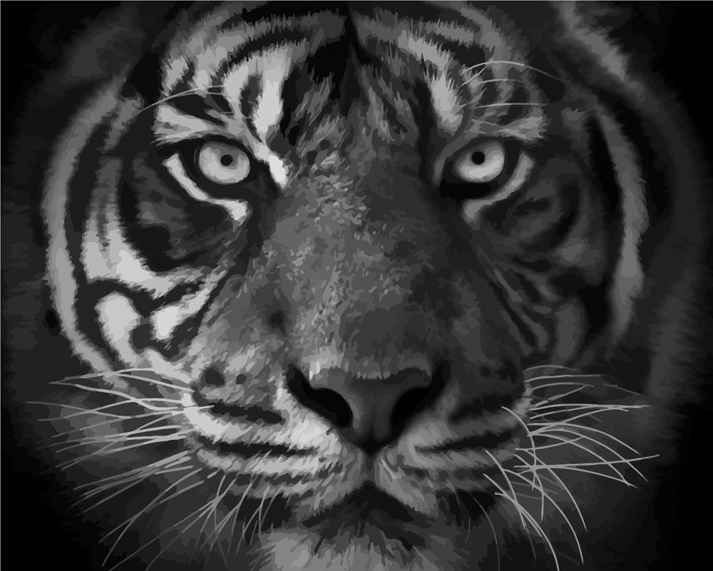 Malen nach Zahlen   Tigerportrait   Beast