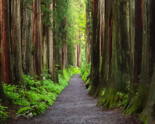 Malen nach Zahlen - Togakushi Schrein in Japan