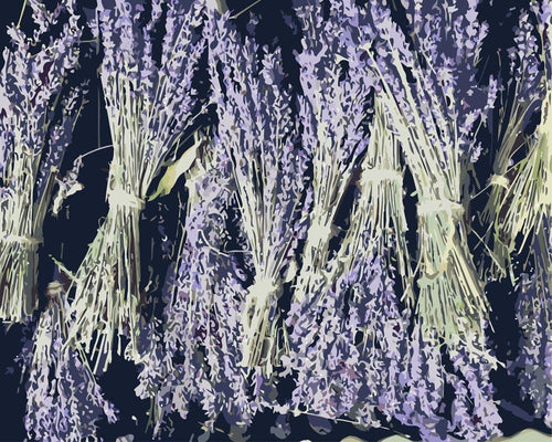 Malen nach Zahlen - Trockener Lavendelbund
