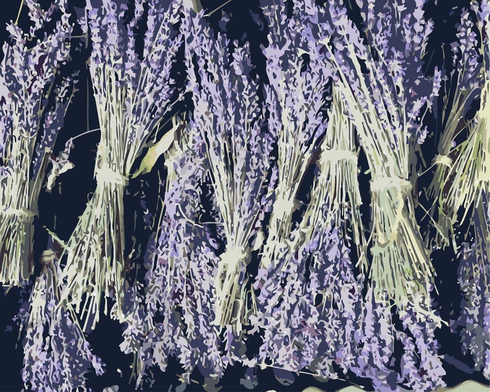 Malen nach Zahlen   Trockener Lavendelbund