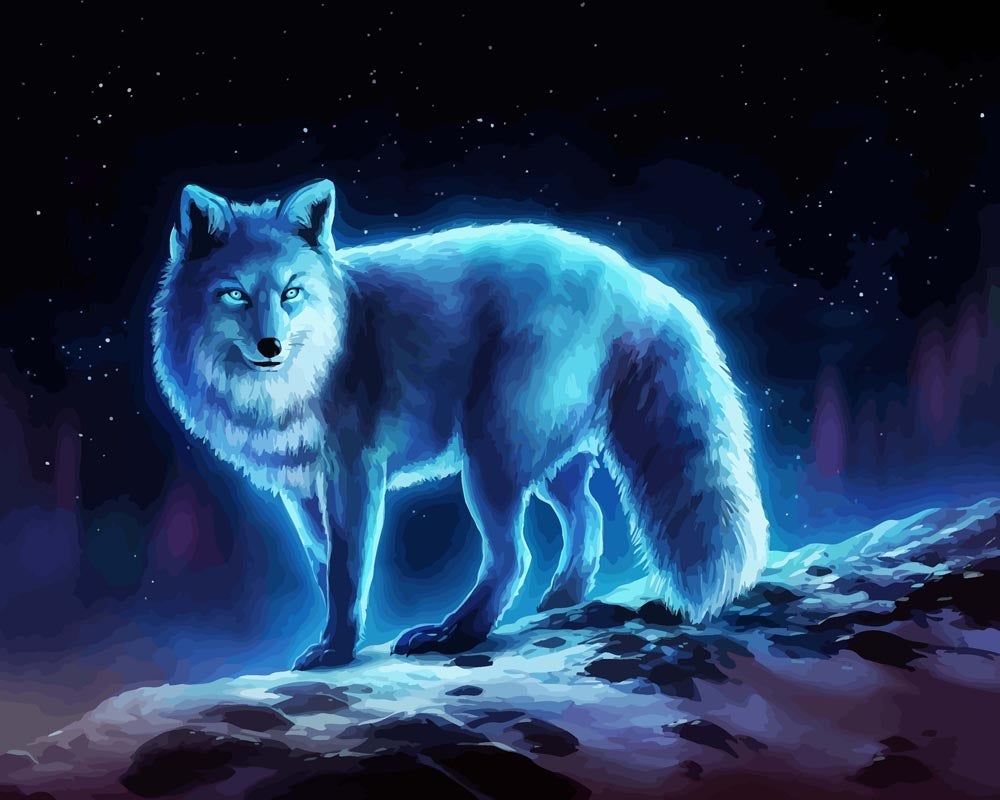 Malen nach Zahlen   Wanderer   by jojoesart