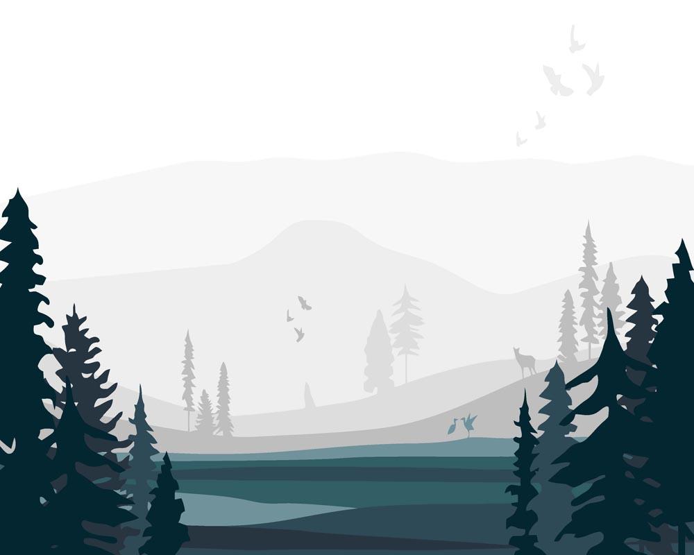 Malen nach Zahlen   Wilder Wald 2