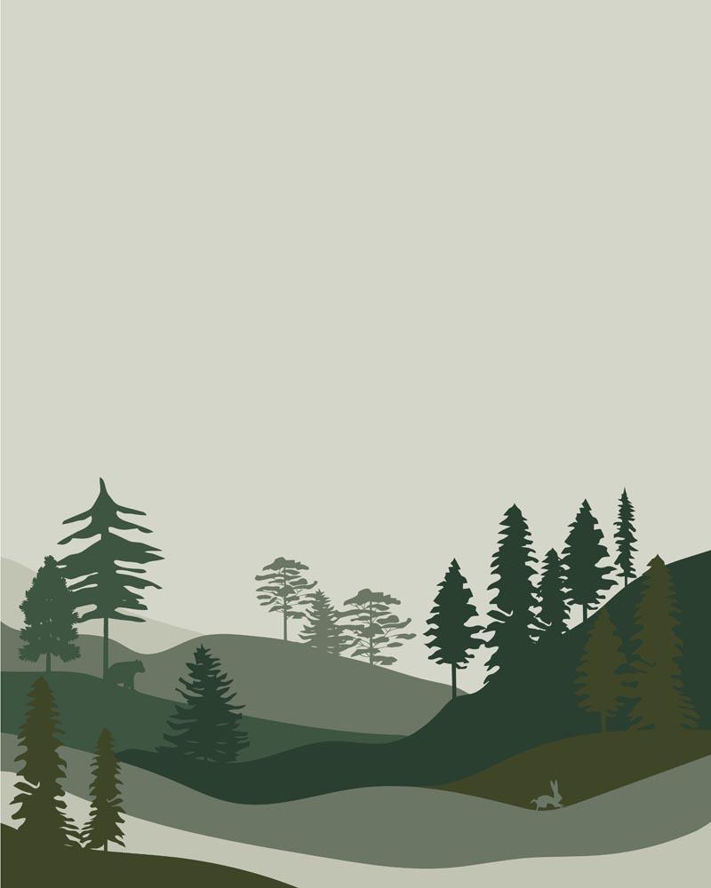 Malen nach Zahlen   Wilder Wald 30