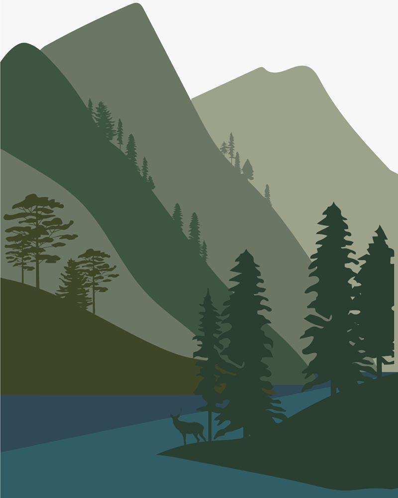 Malen nach Zahlen   Wilder Wald 31