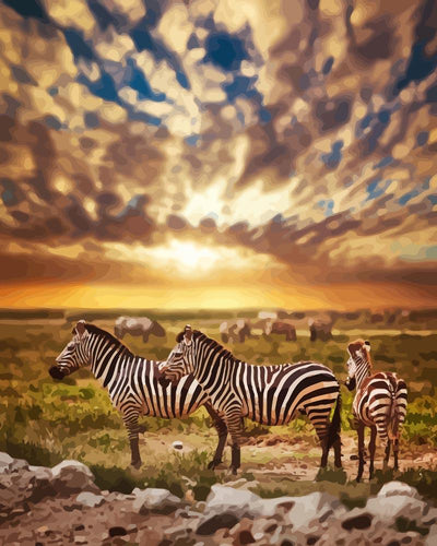 Malen nach Zahlen - Zebra Sonnenuntergang