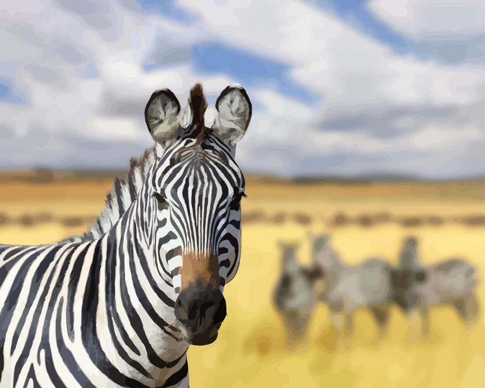 Malen nach Zahlen   Zebra auf der Savanne in Afrika