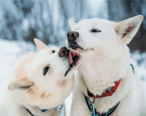 Malen nach Zahlen - Zwei Huskies