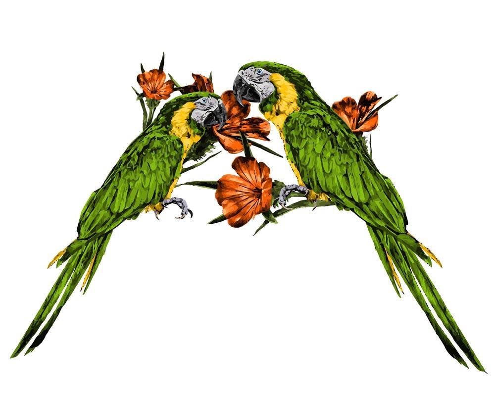 Malen nach Zahlen   Zwei Papagei auf dem Ast