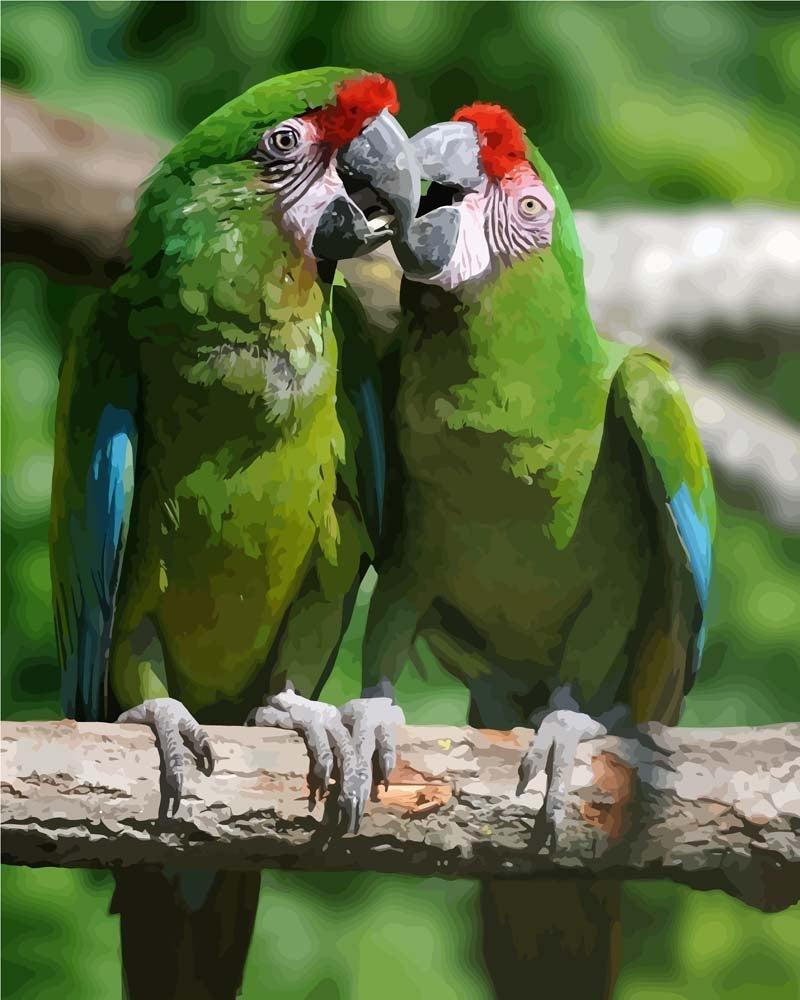 Malen nach Zahlen   Zwei Papageien