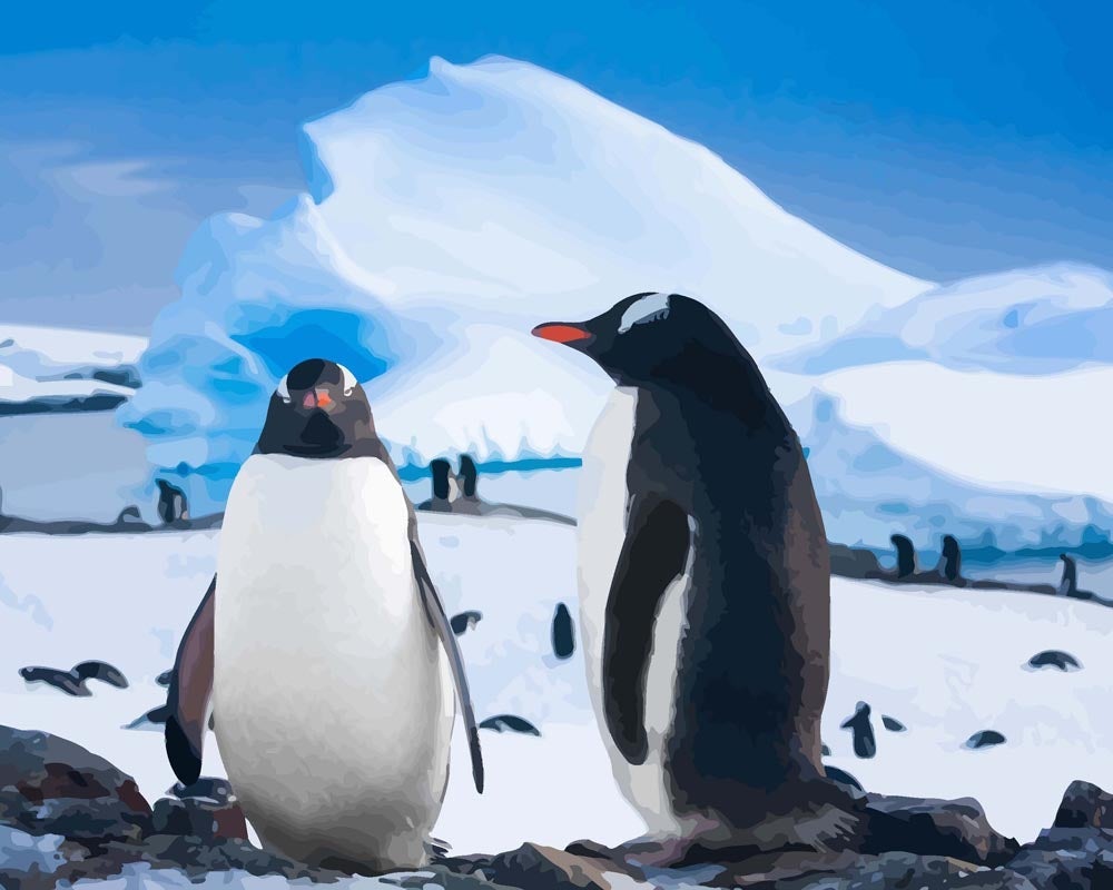 Malen nach Zahlen   Zwei ruhende Pinguine