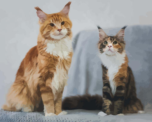 Malen nach Zahlen - Zwei wunderschöne Katzen