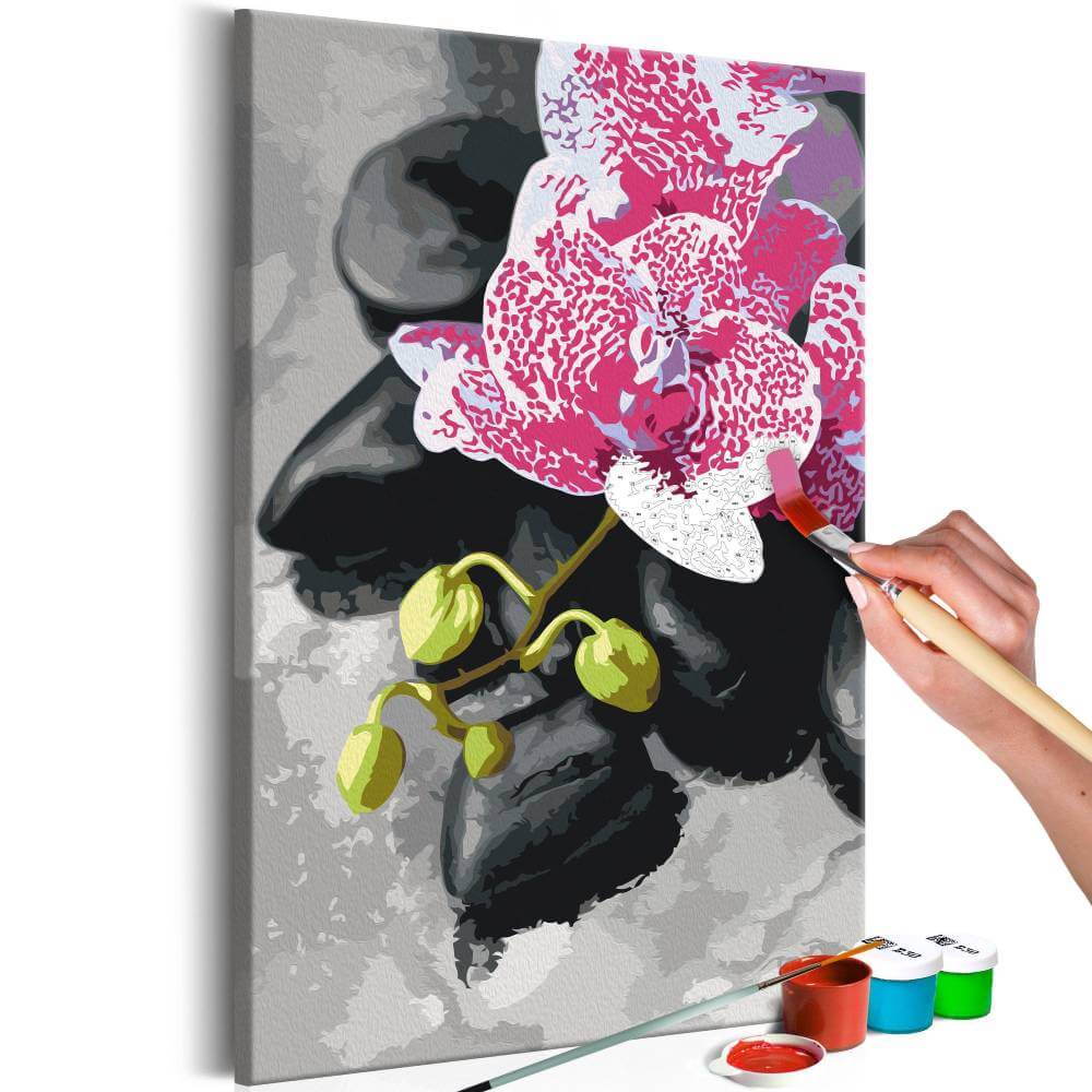 malen nach zahlen rosarote orchidee