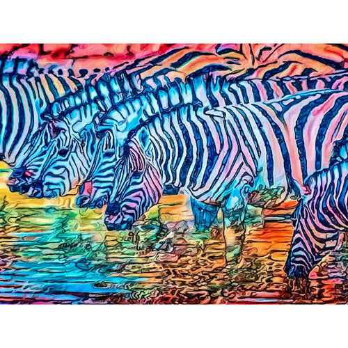 Malen nach Zahlen - Zebras (Südafrika) - Artist's Edition - by zamart